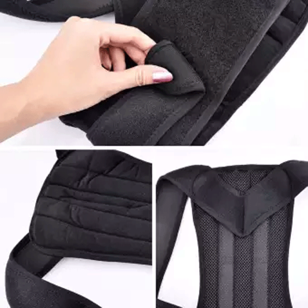 Back Support Belt