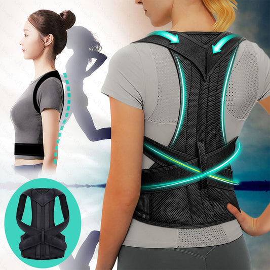 Back Support Belt