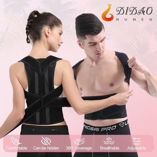 Back Support Belt