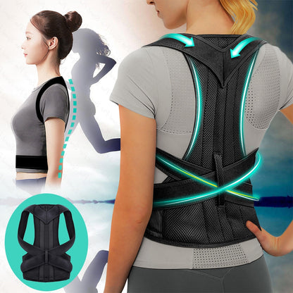 Back Support Belt